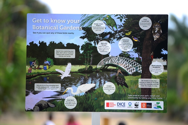 outreach event at the Botanical Gardens – image credit Jess Fisher_3